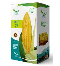 Sweet Corn F1 Iris Sweety-27 500 grams